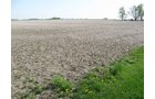 Property photo 25 - 172 Acres Offered in 3 Tracts - Prime Farmland